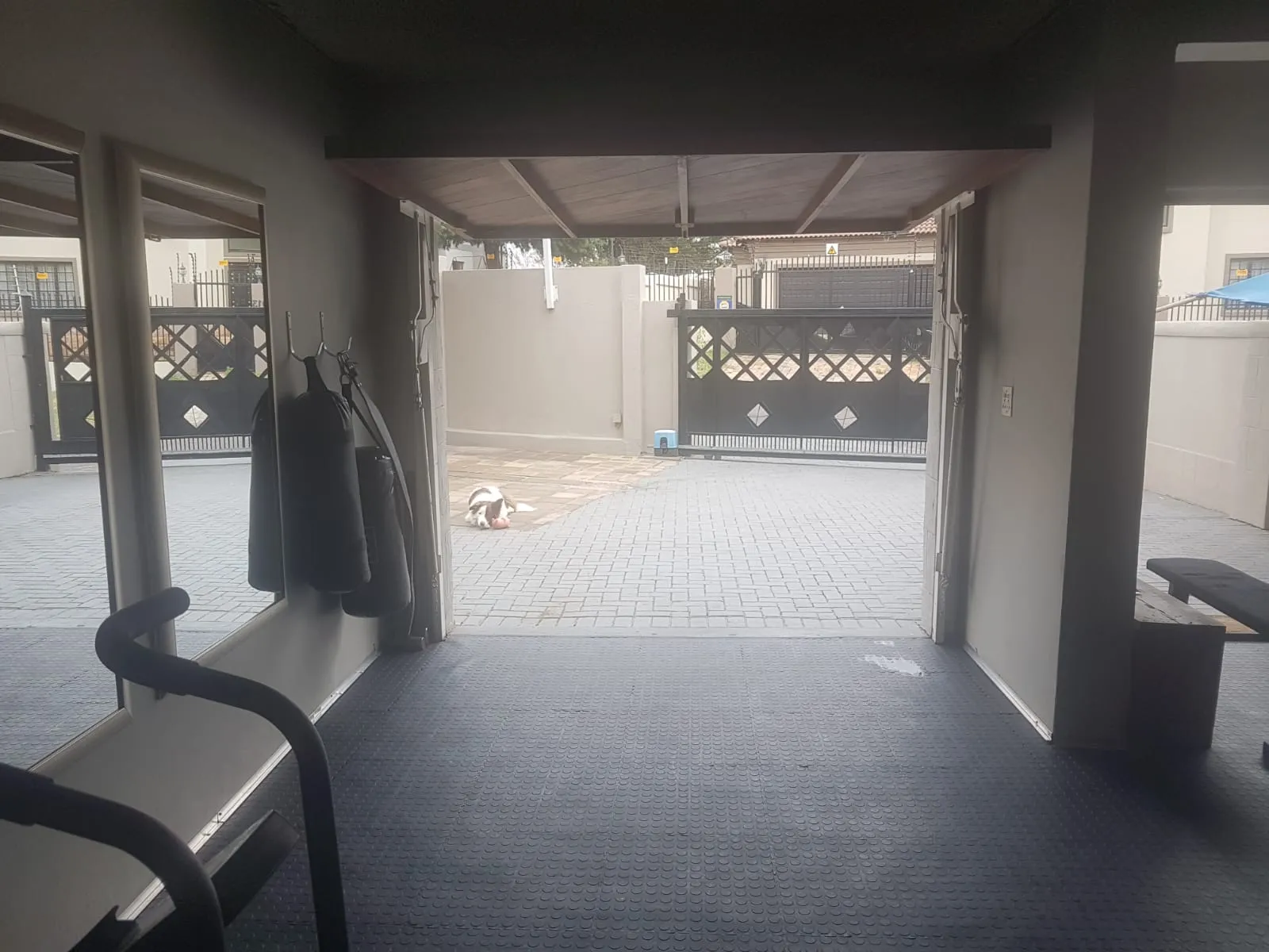 The garage where XO Fit began, looking out of the open door to the driveway, a dog lying in the sun